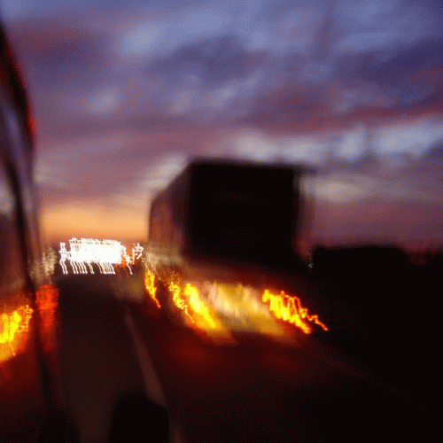 Palehorse (UK) : Habitual Linestepper